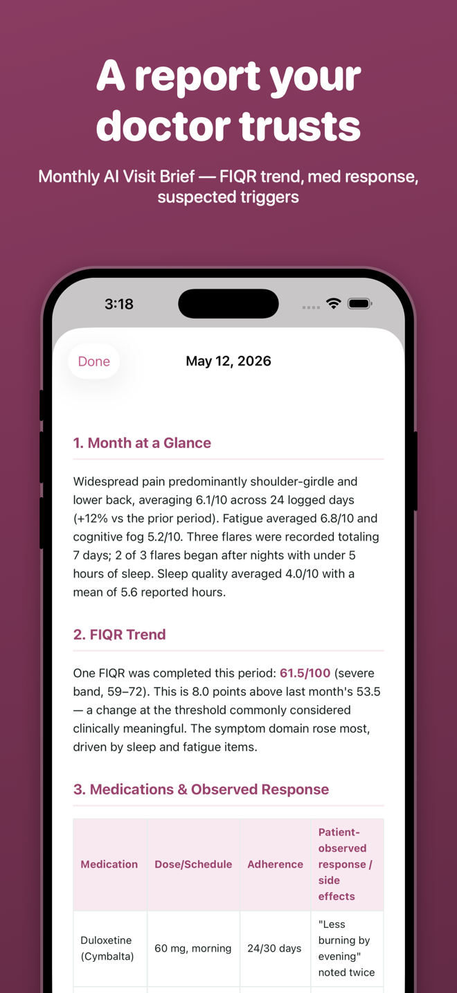 Ember AI Visit Brief