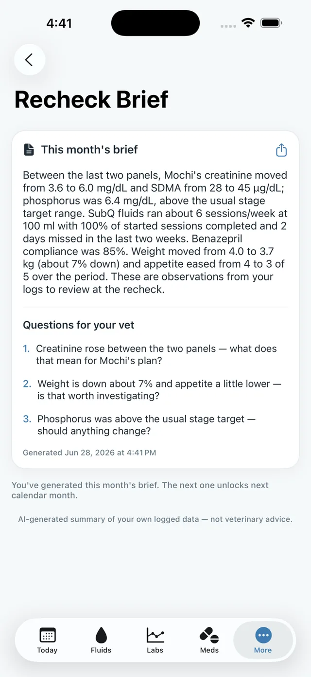 RenalPaw recheck brief summarising a cat's month for the vet