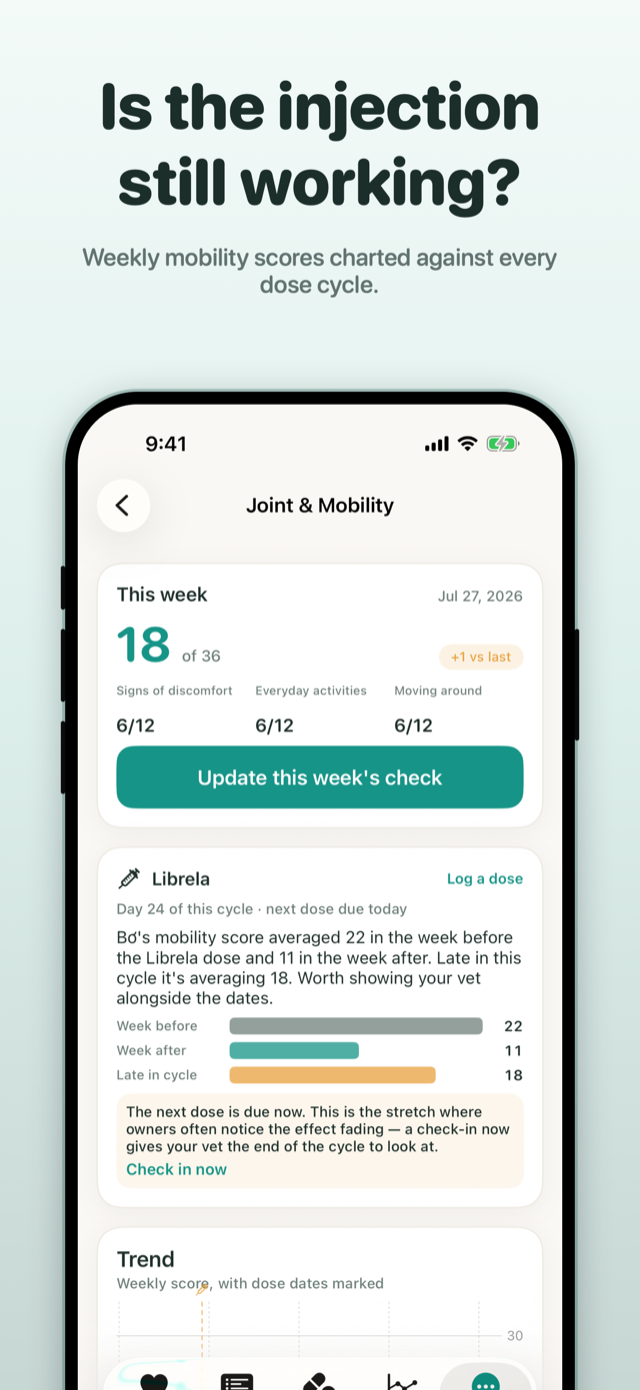 PawBeat Joint and Mobility check for older dogs, with Librela and Adequan cycles charted against the scores